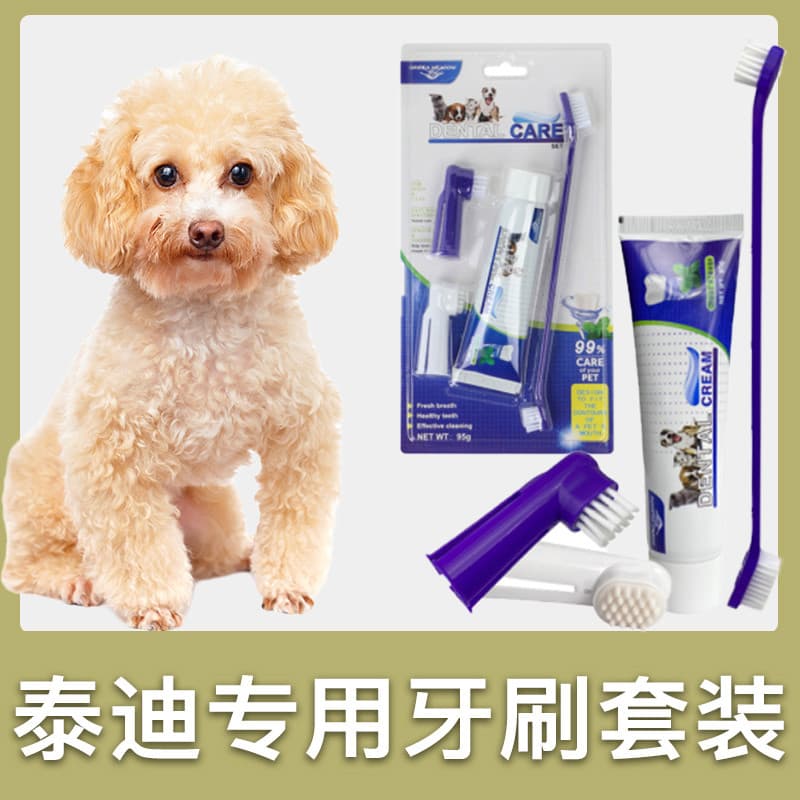 Conjunto especial de escova de dentes para cachorro de pelúcia, pasta de dente para animais de estimação, ferramentas pa