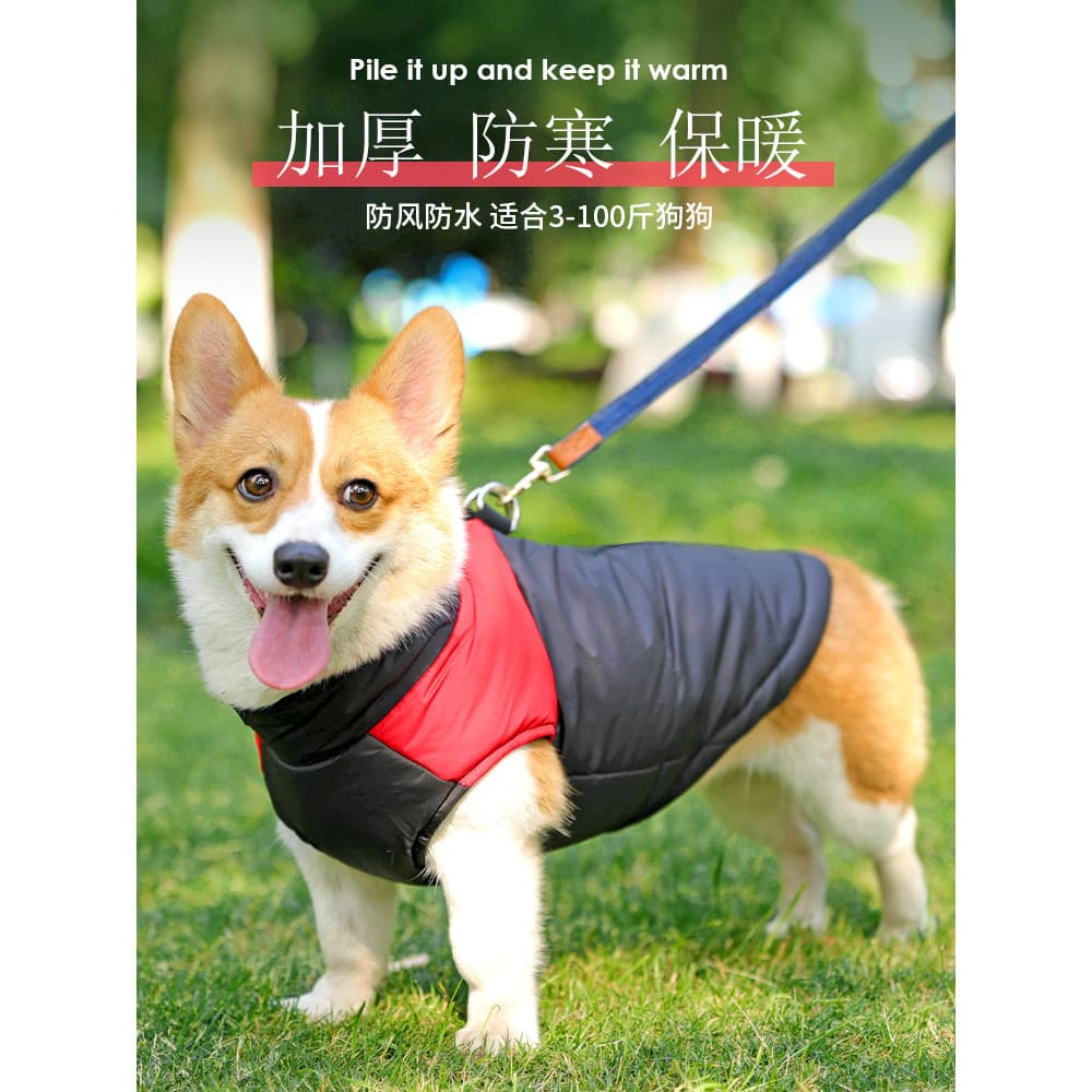 Corgi roupas para cães outono inverno roupas inverno quente algodão casaco colete médio grande cão Golden Retriever Labr
