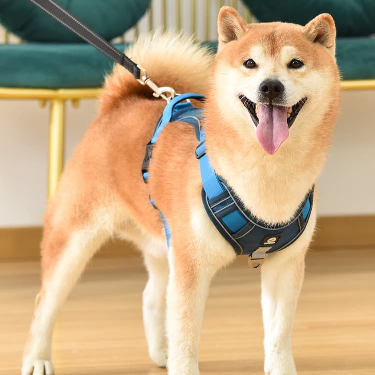 Cão tração corda colete estilo cinta de peito médio grande cão Golden Retriever Shiba Inu suprimentos para animais de es