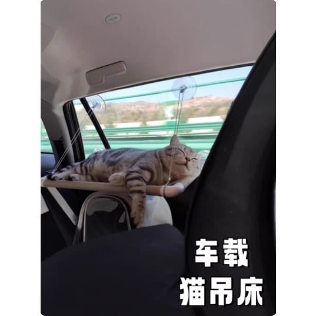Rede para gatos e carro, ventosa de vidro para janela de carro, ninho pendurado, quatro estações, Universal, maca de gat