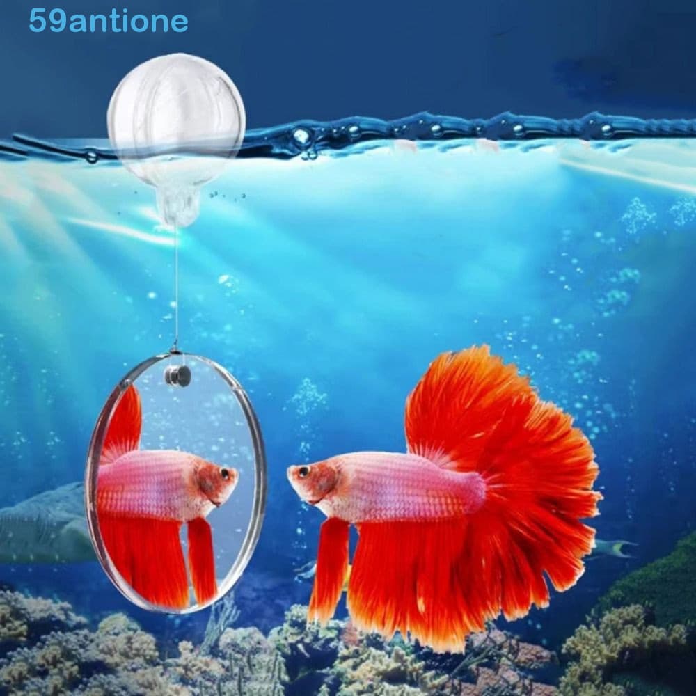 Espelho De Treinamento De Peixes ANTIONE , Decorativo Acrílico Betta De Aquário Redondo De Jogo Com Ventosa