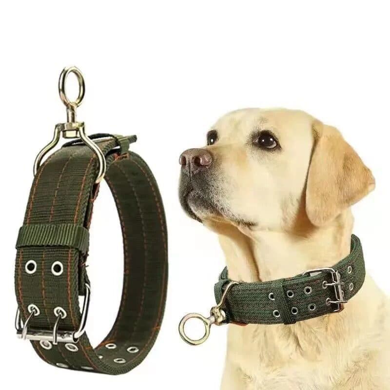 Coleira pequena para cachorro, coleira para cachorro, tamanho médio, para cachorro, caminhada, coleira grande, n
