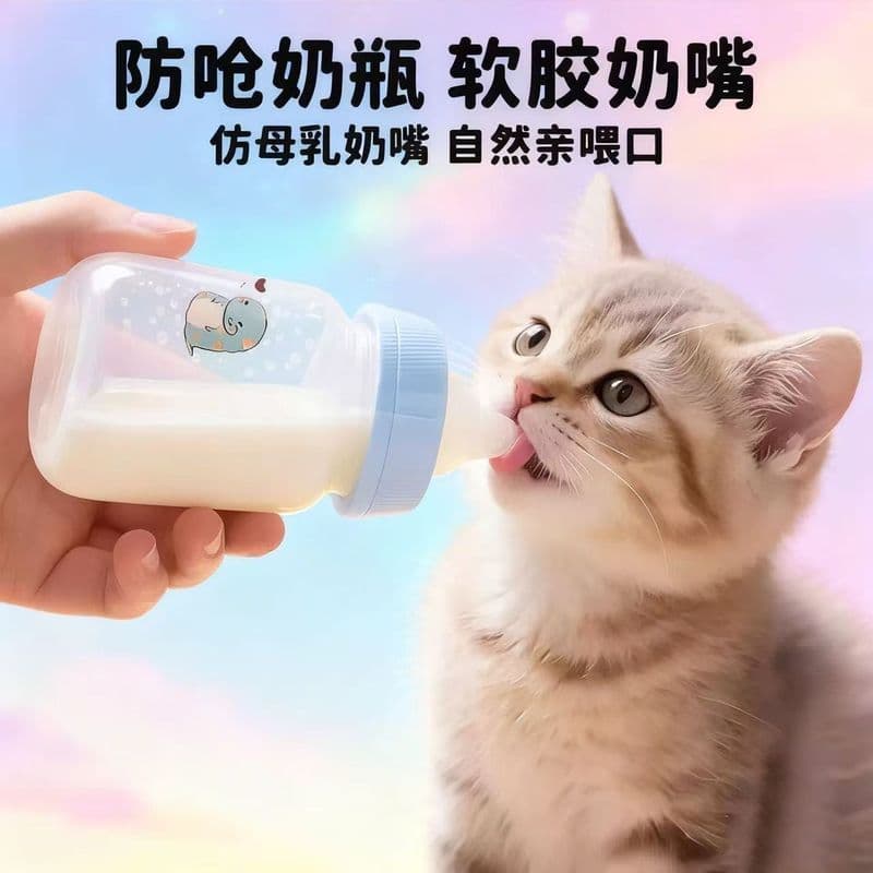Suprimentos para gatos 7.21