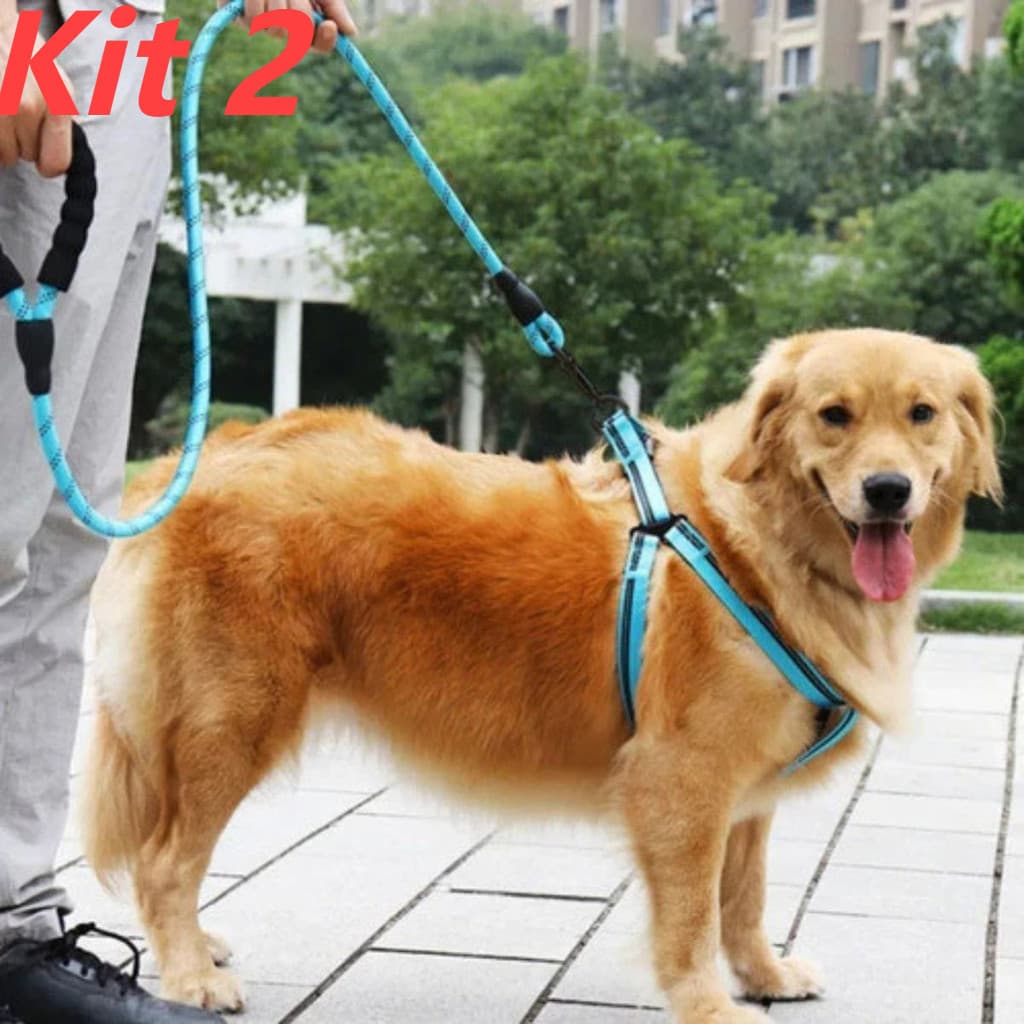 Kit 2 Guia De Passeio Corda Reforçada Para Cachorro Porte Médio E Grande 1.20m Guia/Coleira Para Cães - Alta Qualidade