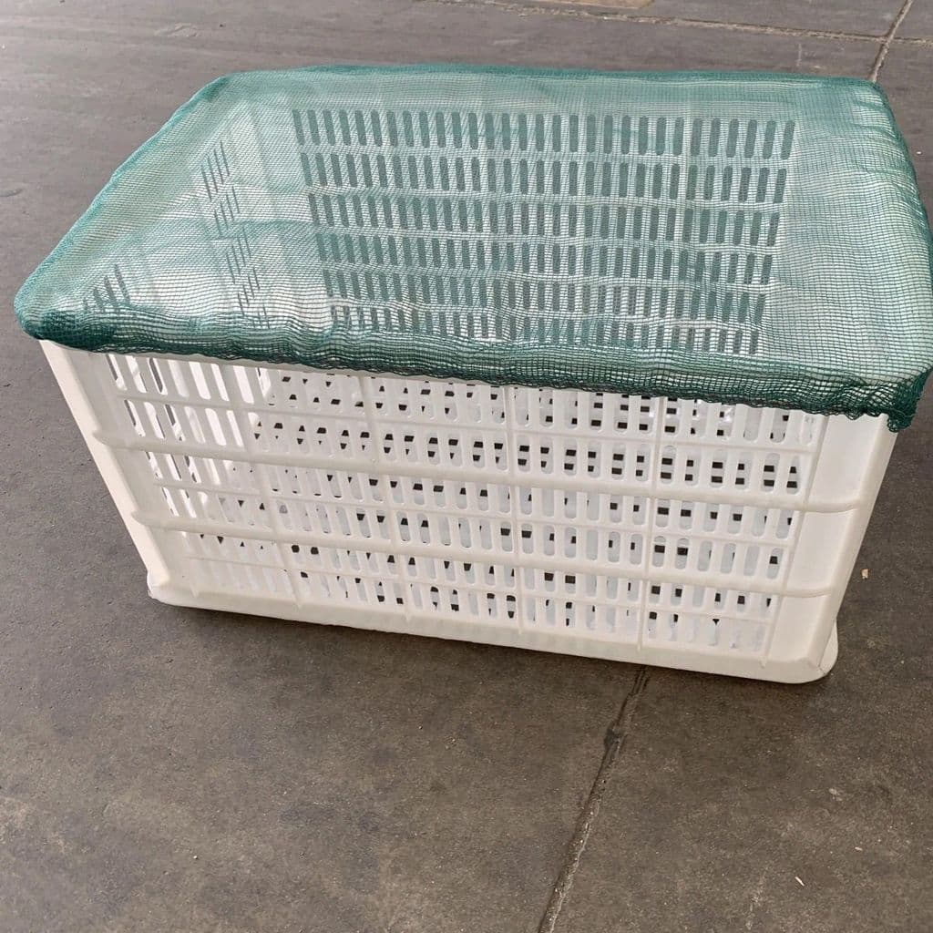 Cesta de camarão quadrada capa de rede espessada cesta de camarão capa de rede durável faixa de borracha espessada densa