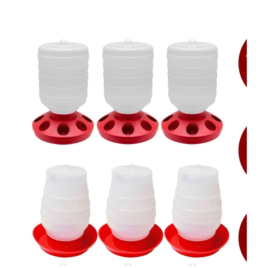 Kit 3 Bebedouro 3,5L e 3 Comedouro 2L de Frango Galinha Codorna Pintinho