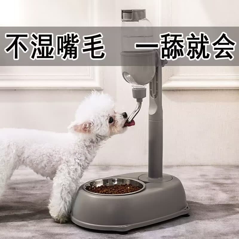 Fonte potável para cães, não molhada, boca, fonte potável, suspensão automática, tigela de alimentação, garrafa de água