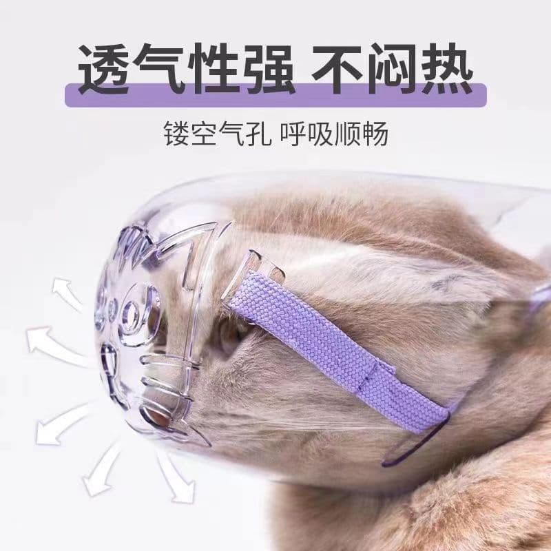 Prevenção de arranhões de gatos