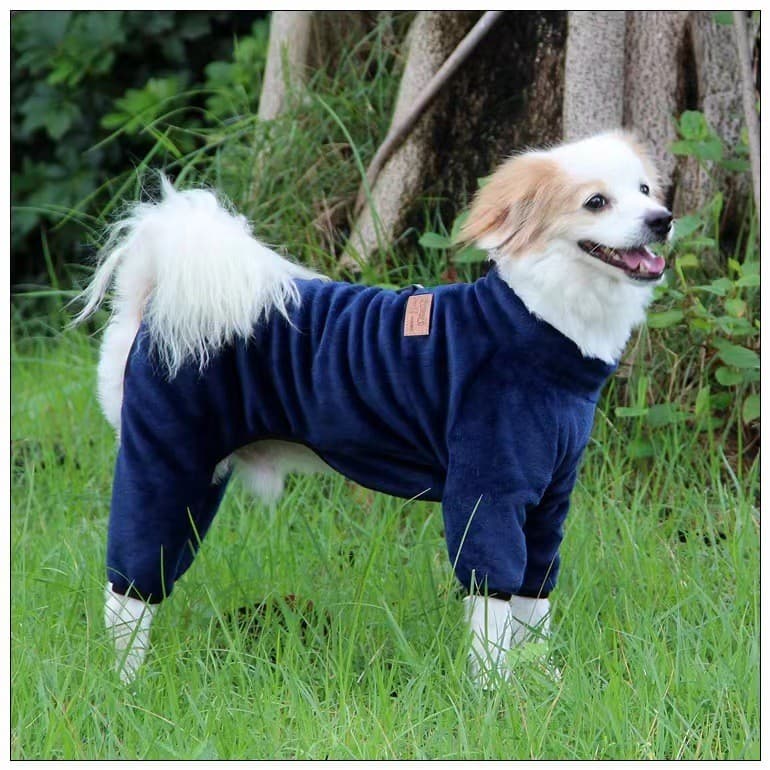 Roupas Para Cães De Temporada Legal Pijamas Macios E Quentes Corgi Shiba Inu Border Collie Peludas Fantasia Quente Anima