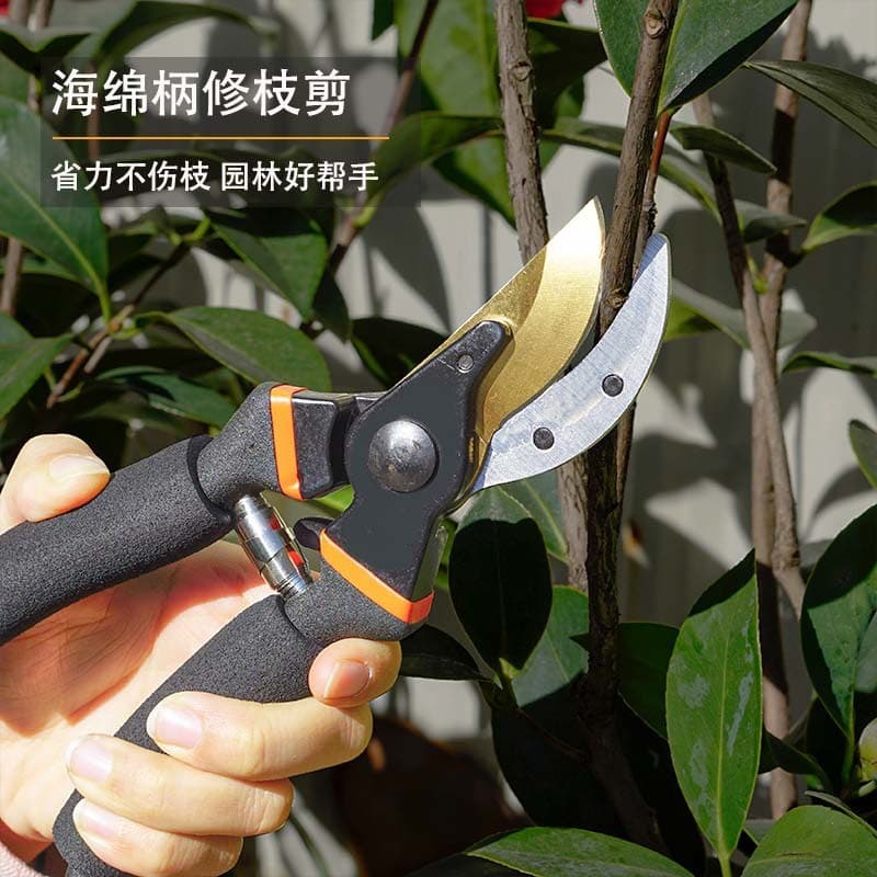 Tesouras de poda de árvores frutíferas Tesouras de jardinagem Tesouras de galhos de frutas Tesouras de galhos de flores