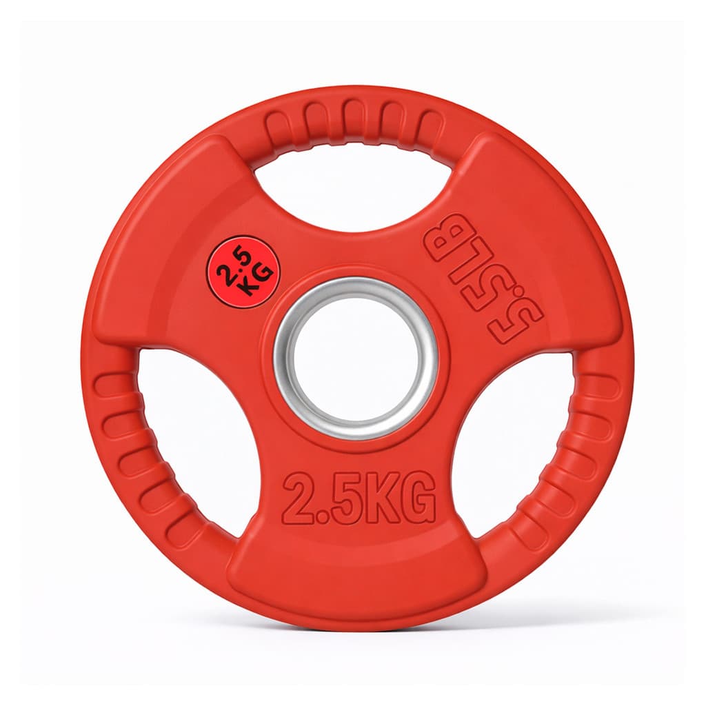 Anilha Olímpica 2,5kg Fitcore Emborrachada com Pegas Furo 50mm Musculação