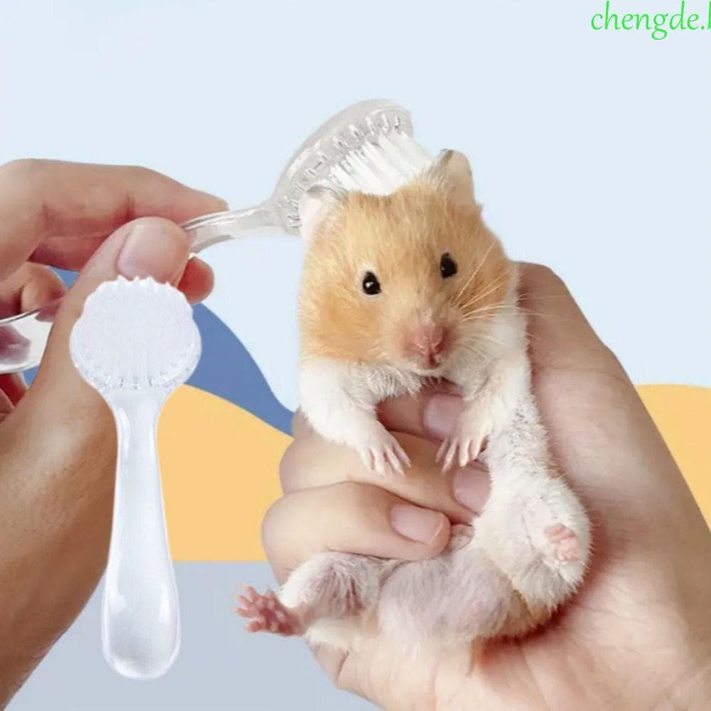 Escova Pequena Para Hamster CHENGDEBR , De Banho De Ouriço De Cabeça Redonda De Plástico Limpeza De