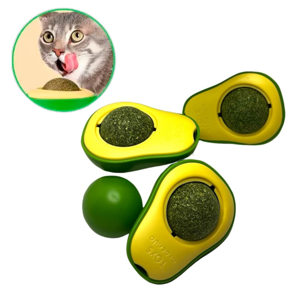 Kit 3 Catnip Abacate Erva Natural Brinquedo Interativo Para Gatos