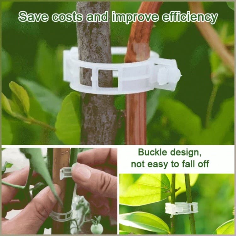 [Resistente E Durável] 【Alta Durabilidade】Plastic Clips For Tying Plants And Supporting Vines Grampos de Videira/Grampos