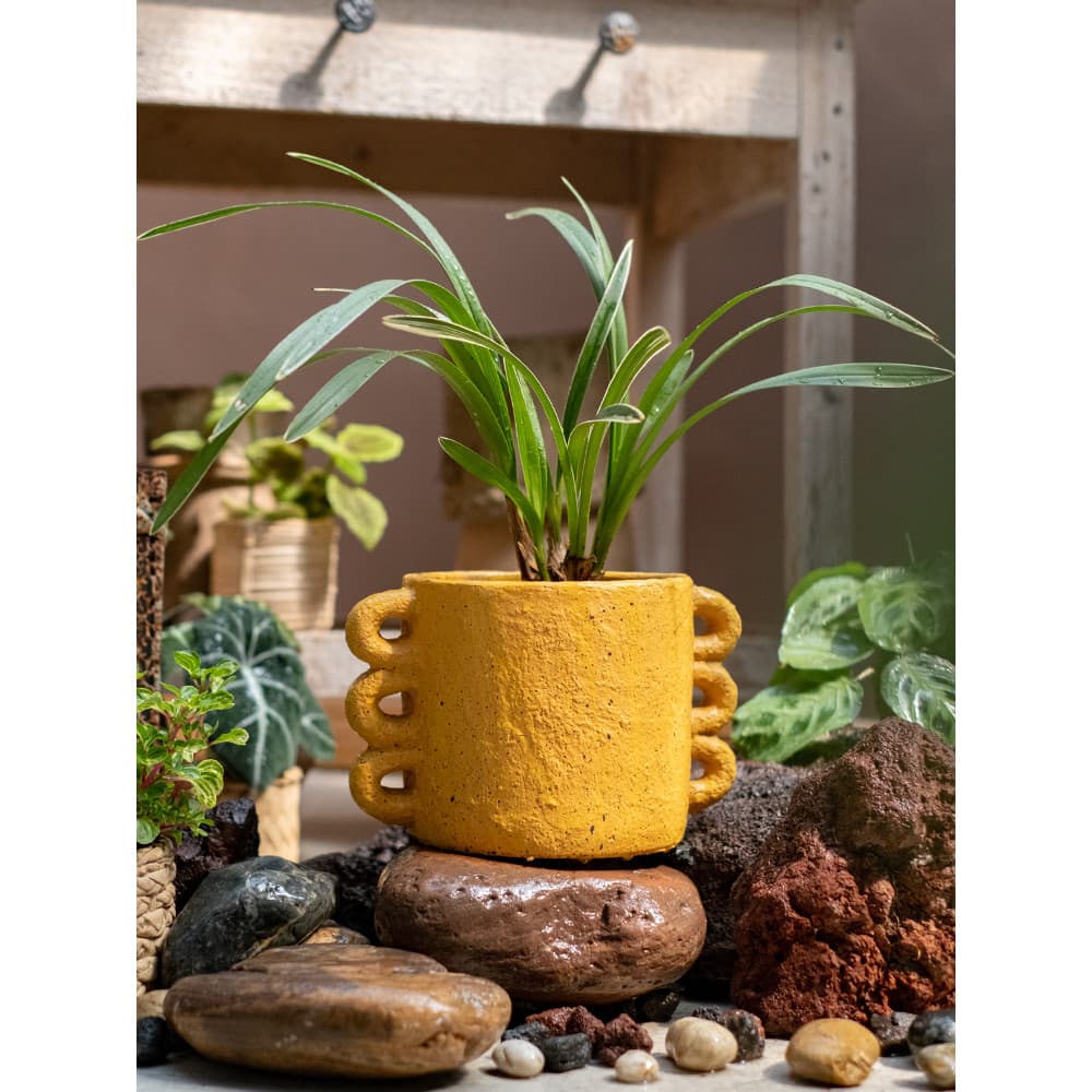 Juhan Vaso de flores de cimento Recipiente de flores Vaso de plantas suculentas Arranjo de flores secas Vaso Decoração d