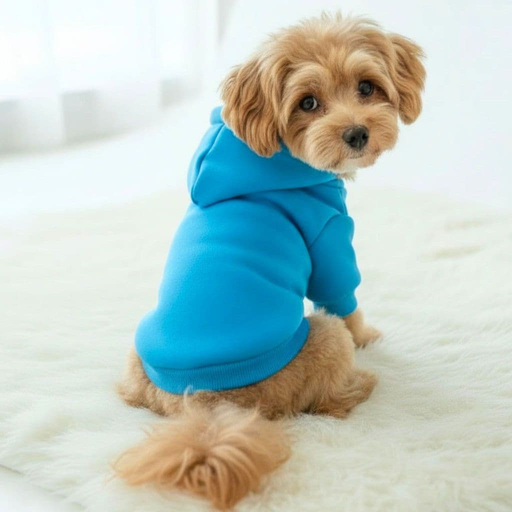Moletom Pet Inverno Roupa Pet com Capuz Estilosa Confortável com Qualidade Roupa Adidog