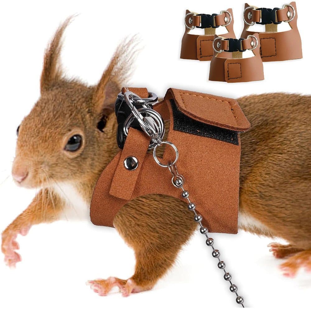 Conjunto de Coleira e Guia para Esquilo, Colete Anti-Puxada para Pequenos Animais de Estimação