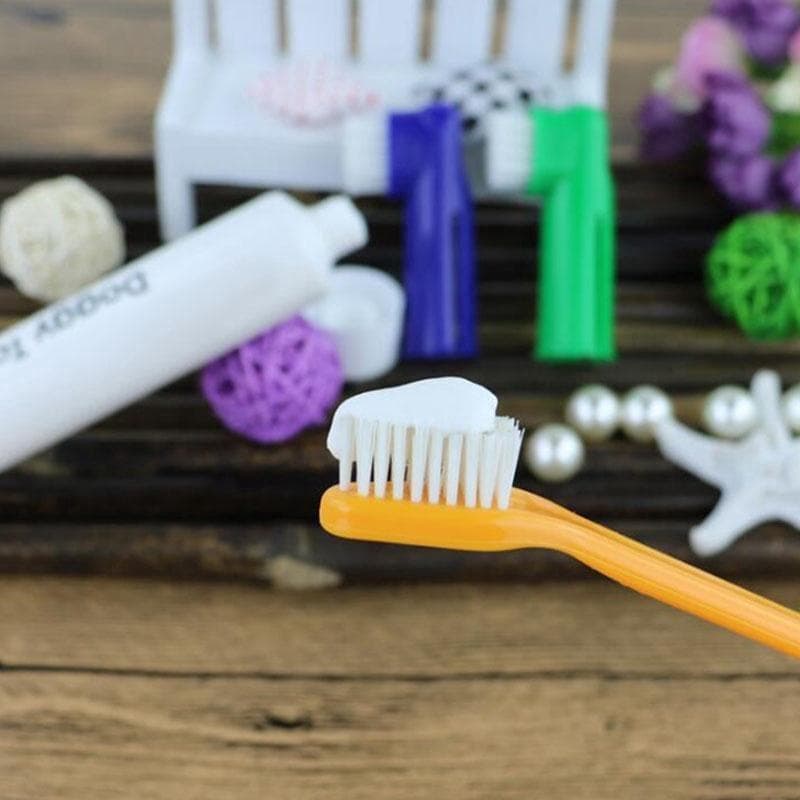 4pcs Escovas Cão Gato Pet Higiene Escova De Dentes Cuidados Com Os