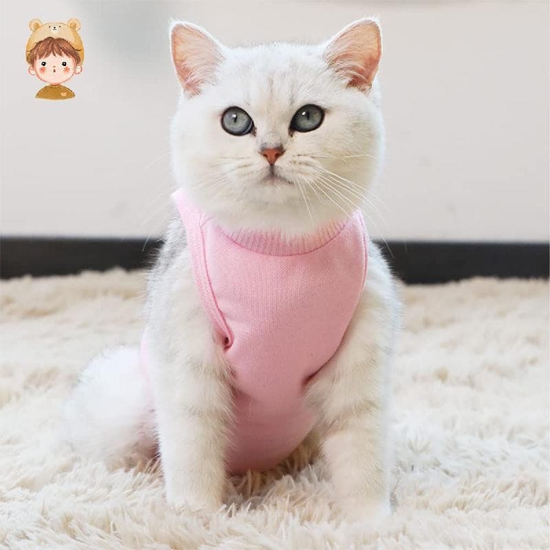 Vestuário Cirúrgico Da Recuperação Para Gatos Com Feridas Abdominais Ou Condições Pele