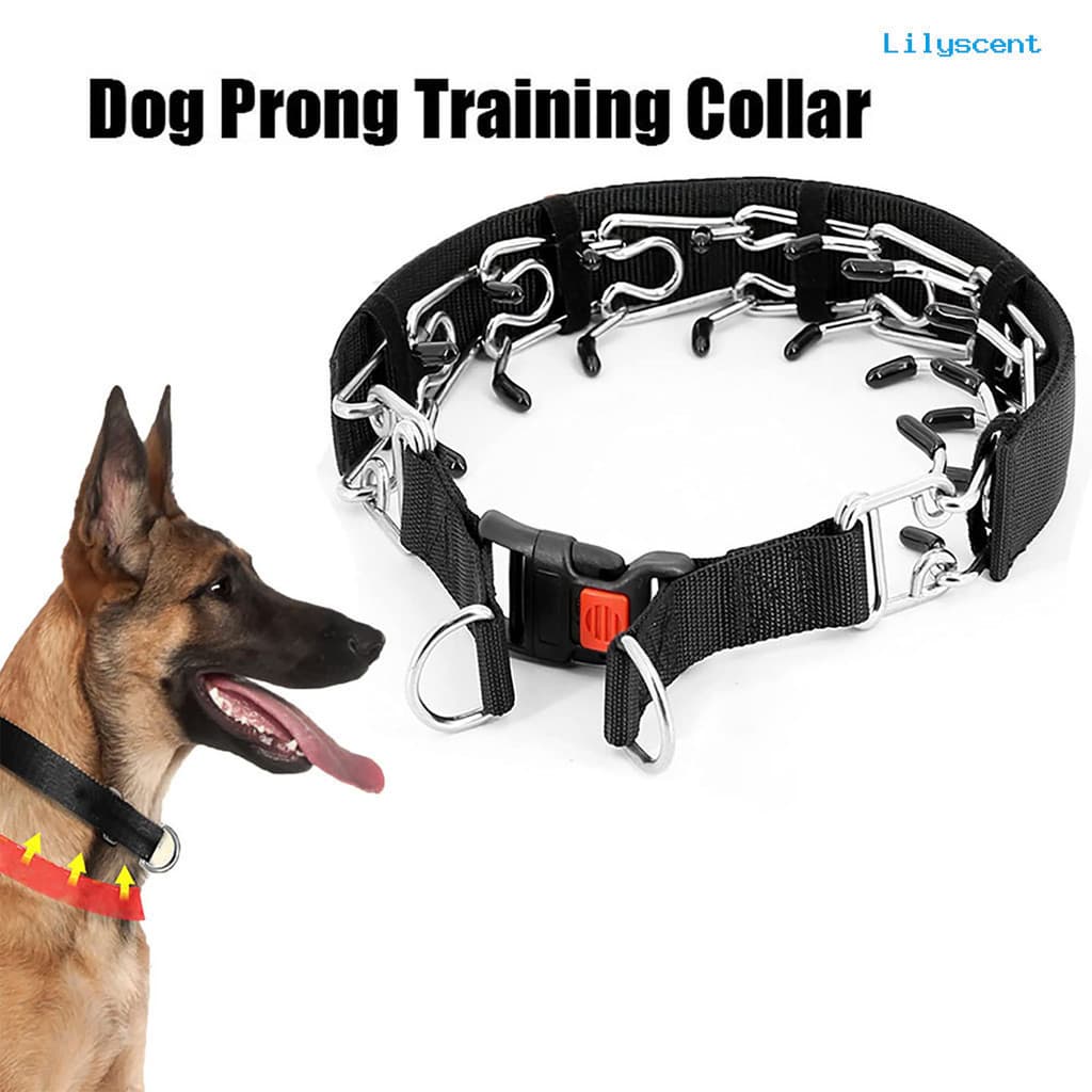 Coleira LY-Adjustable Dog Prong Collar Com Fivela De Liberação Rápida De Treinamento Eficaz E Segura Para Cães Pequenos