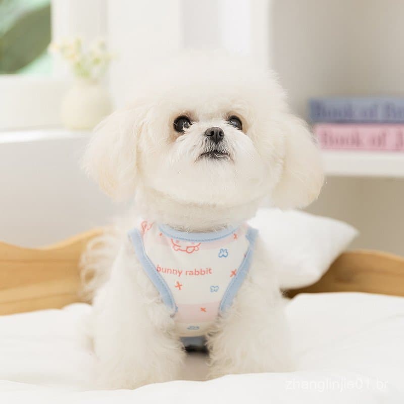 Roupas para filhotes, roupa para Teddy Schnauzer, pijamas para animais de estimação, protetoras de barriga, roupa