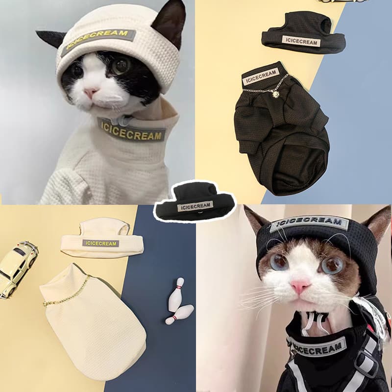 Acessórios para suprimentos de gatos cacheados alemães