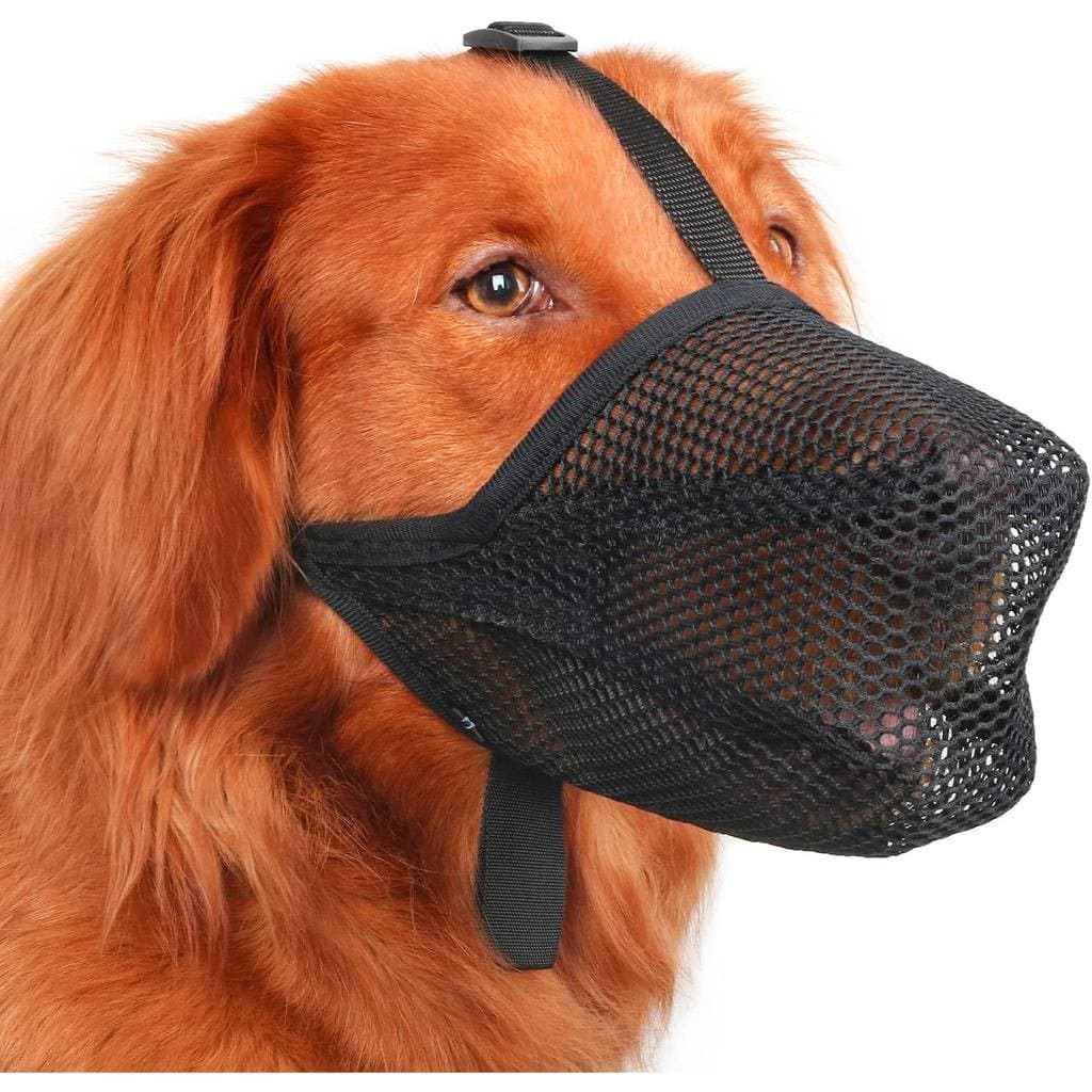 Focinheira para Cães Mayerzon, Focinheira de Malha Macia Patenteada para Cães Pequenos, Médios e Grandes, para Forragear