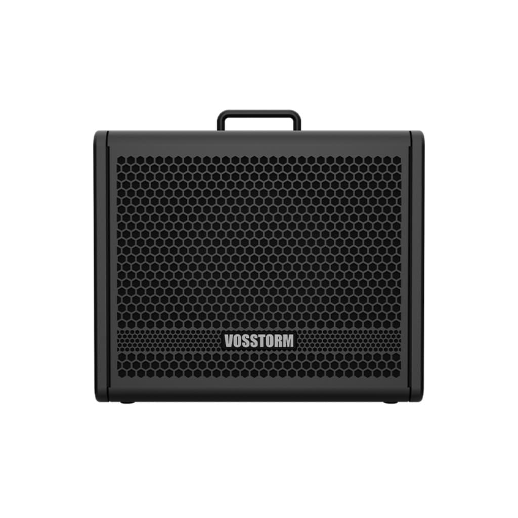 Amplificador Para Guitarra 10 Pol 40w Vosstorm Gx-10
