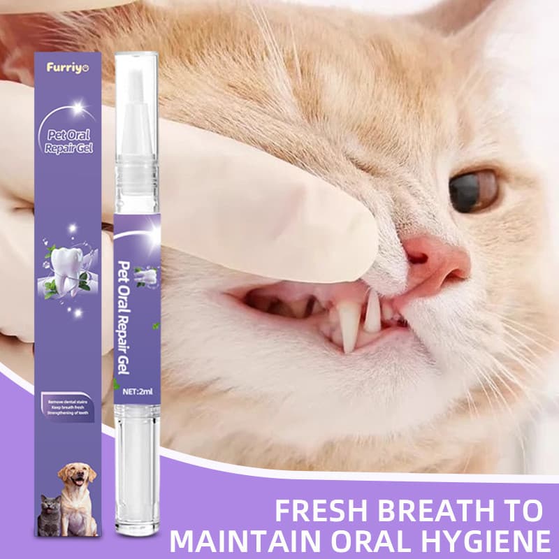 Limpeza dos dentes remoção Oral ferramenta útil esfoliante Pet dentes limpeza do cão desodorante gatos cães cálculo cane
