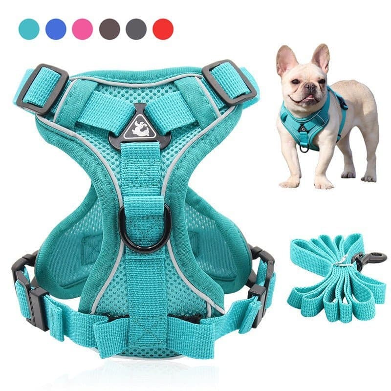 Conjunto de Coleira e Guia Ajustável para Cães e Gatos, Colete Refletivo em Malha, Adequado para Gatos Pequenos e Grande