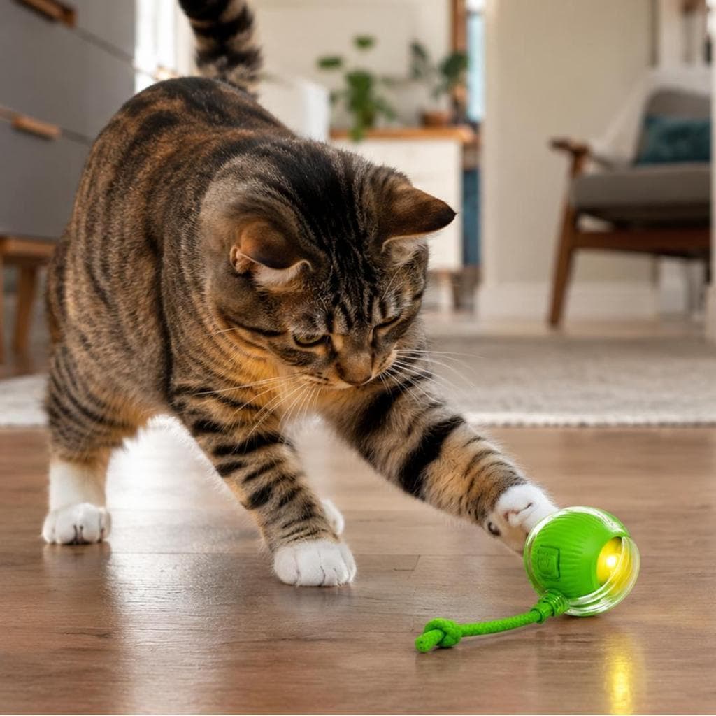 Bolinha Interativa para Pets com Movimento Automático, LED e Corda