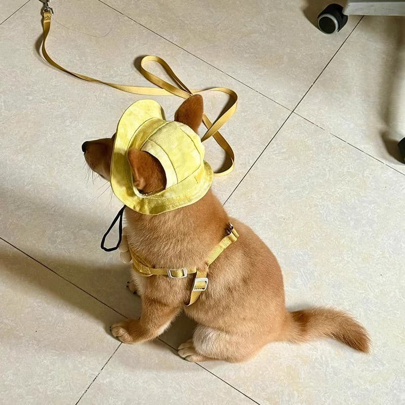 Pet pára-sol balde chapéu gato cão protetor solar chapéu verão respirável Anti-ultravioleta bonito animal de estimação a