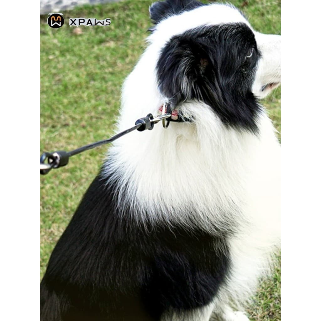 XPAWS cão Anti-mordida trela corda de fio de aço médio grande cão andando corda Golden Retriever Labrador cão gravata co