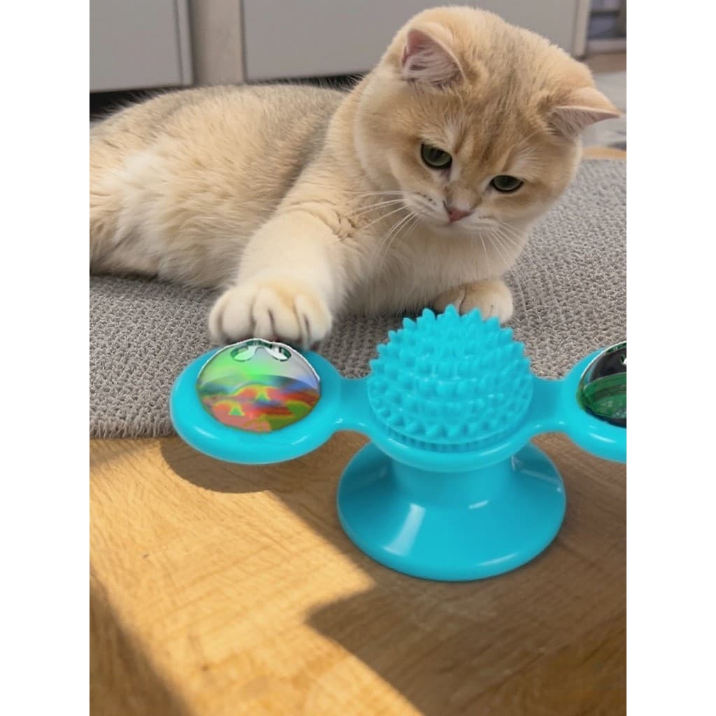 Gato brinquedo otário gato provocando vara gato casa aliviar o tédio consumo força física gato fino moinho de vento plat