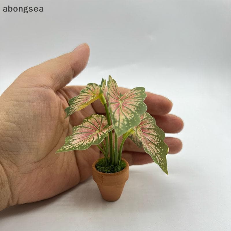 1 Pçs Em Miniatura Estilo Escandinavo Decoração Casa De Bonecas Plantas Verdes Mini Taro Tartaruga Ba Verde Vasos Adereç