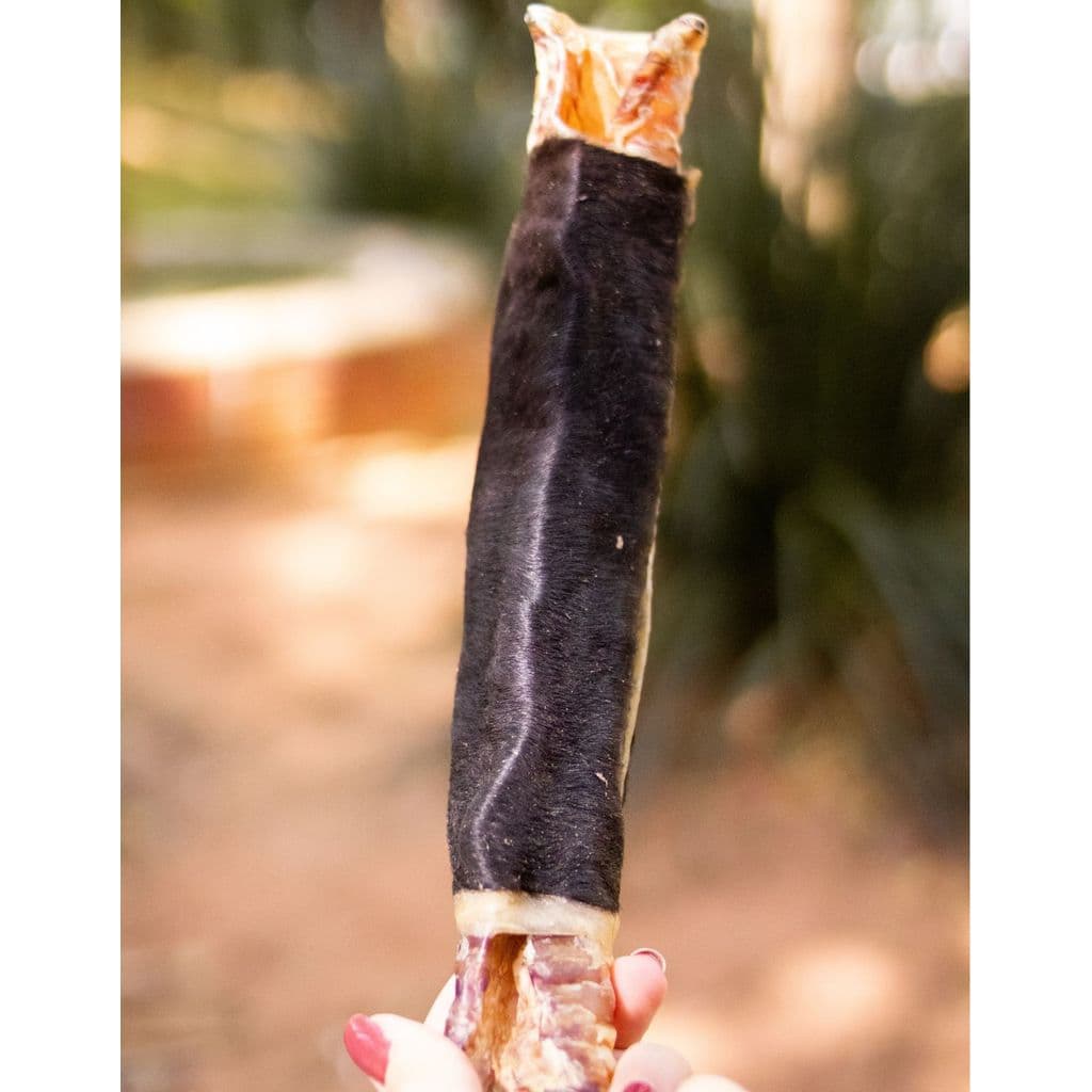 Mordedor Natural Para Cães Traquele Bovina Luv Resistente Cachorro 100% Natural Pet