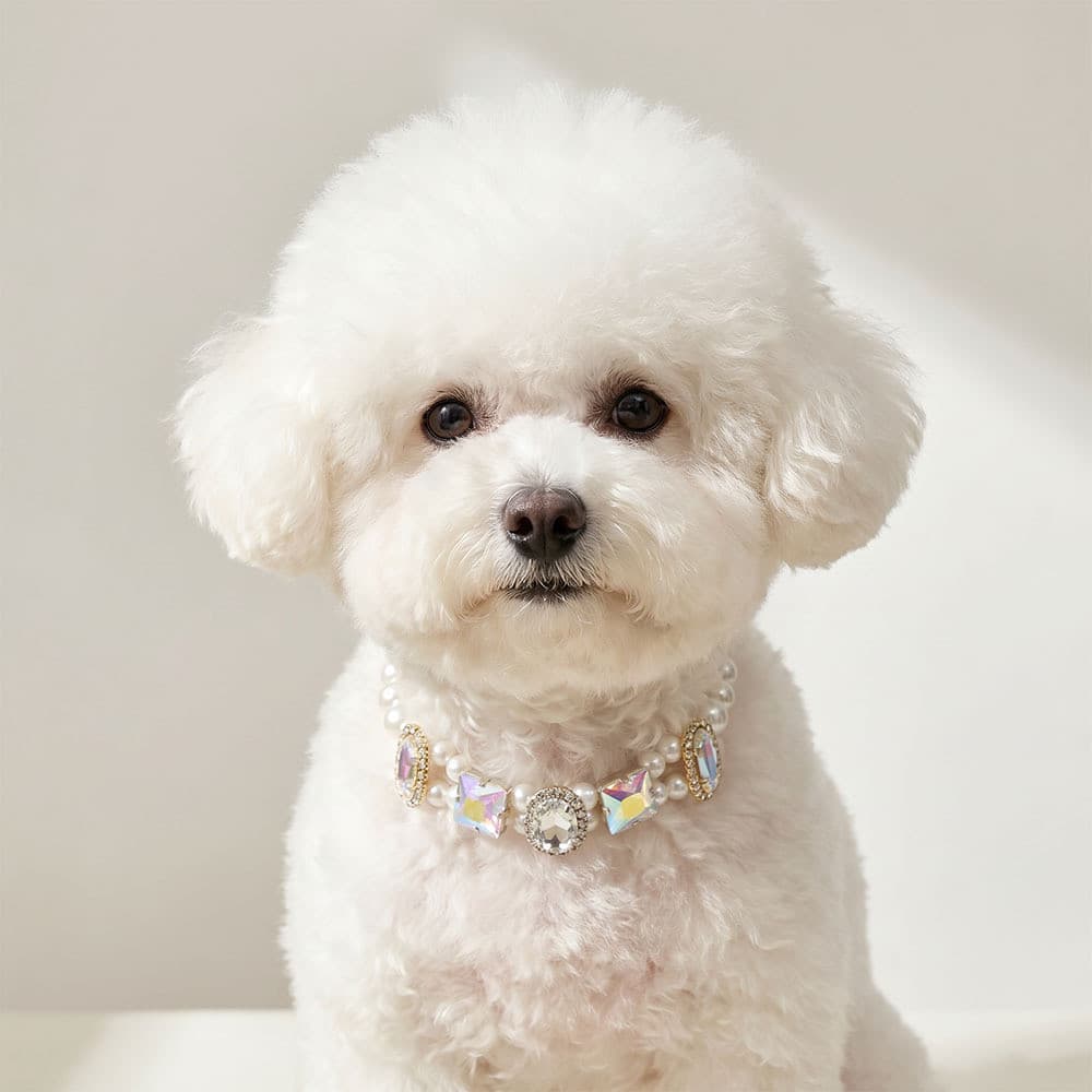 Colar pequeno de tamanho médio para animais de estimação, moda leve, luxo, alta qualidade, Micro-incrustado, colorido, z