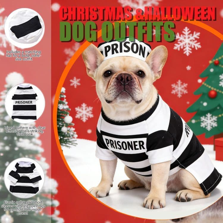 Roupa de Natal para Cães, Fantasia Engraçada de Floco de Neve e Rena, Macacão de Natal para Filhotes WWWK