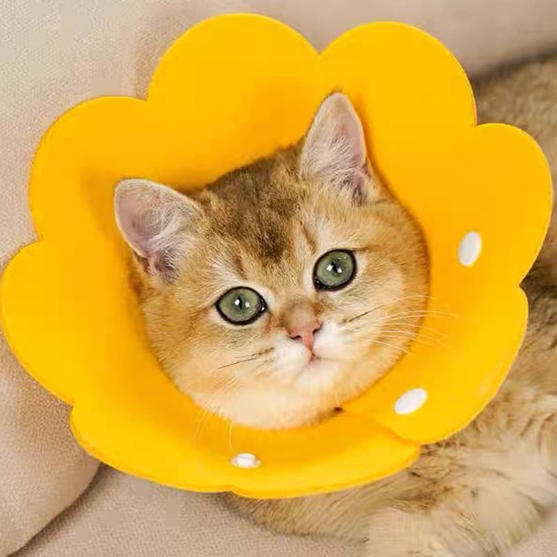 Elizabeth colar de feltro para animais de estimação colar ajustável fino macio luz colar recuperação pós-operatória anti