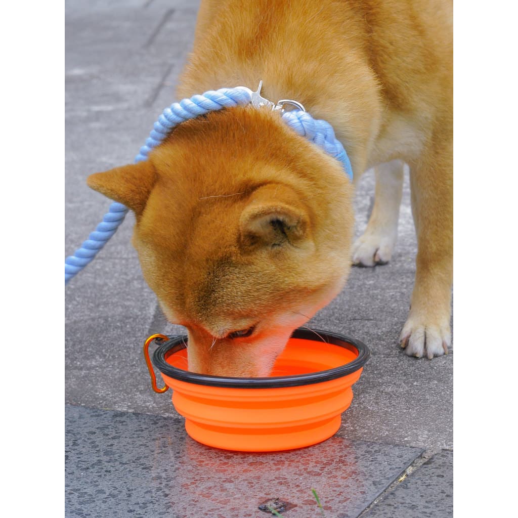 Tigela dobrável para animais de estimação, tigela dupla para alimentação de cães, portátil, grande capacidade, bacia de