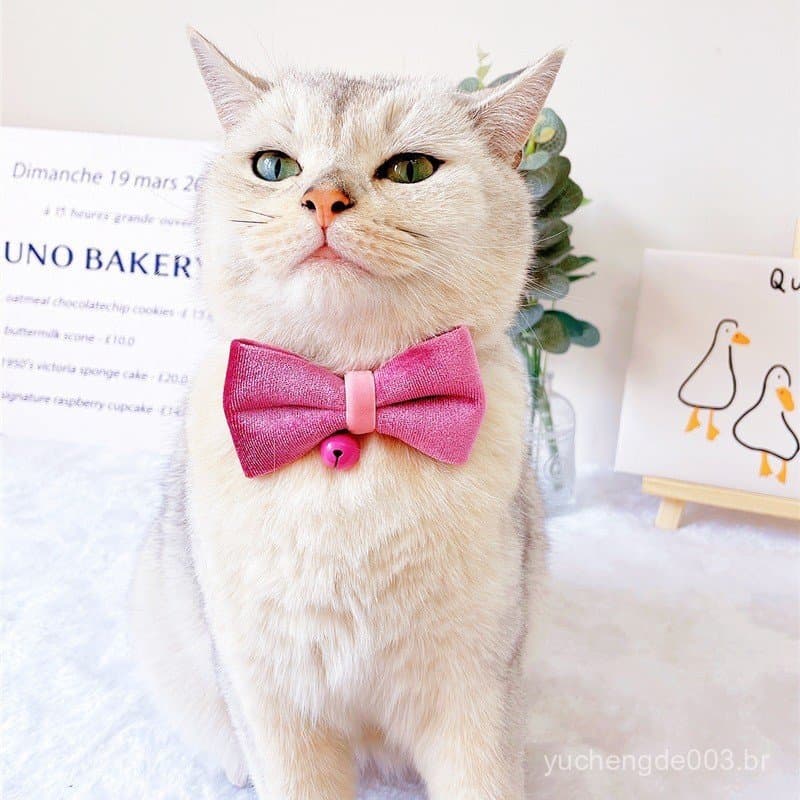 Coleira de veludo rosa com laço e sino para gatos e cães, adequada para gatinhos e filhotes, ideal para cães de pequeno