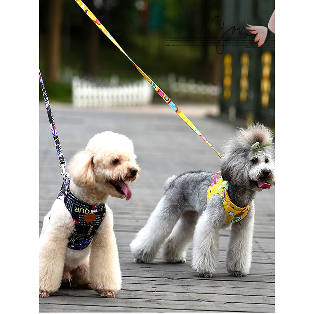 Chukchi coleira de corda para cachorro pequeno colete de pelúcia estilo cinta peitoral corda de caminhada para cachorro