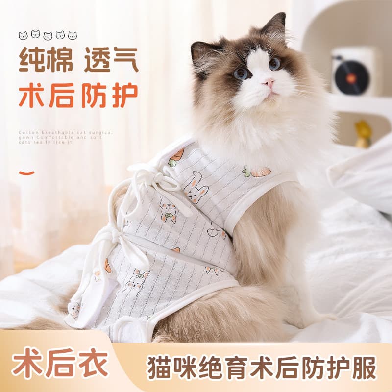 Novas roupas de esterilização Anti-lamber roupas cirúrgicas feminino gato desmame gatos roupas finas de gato