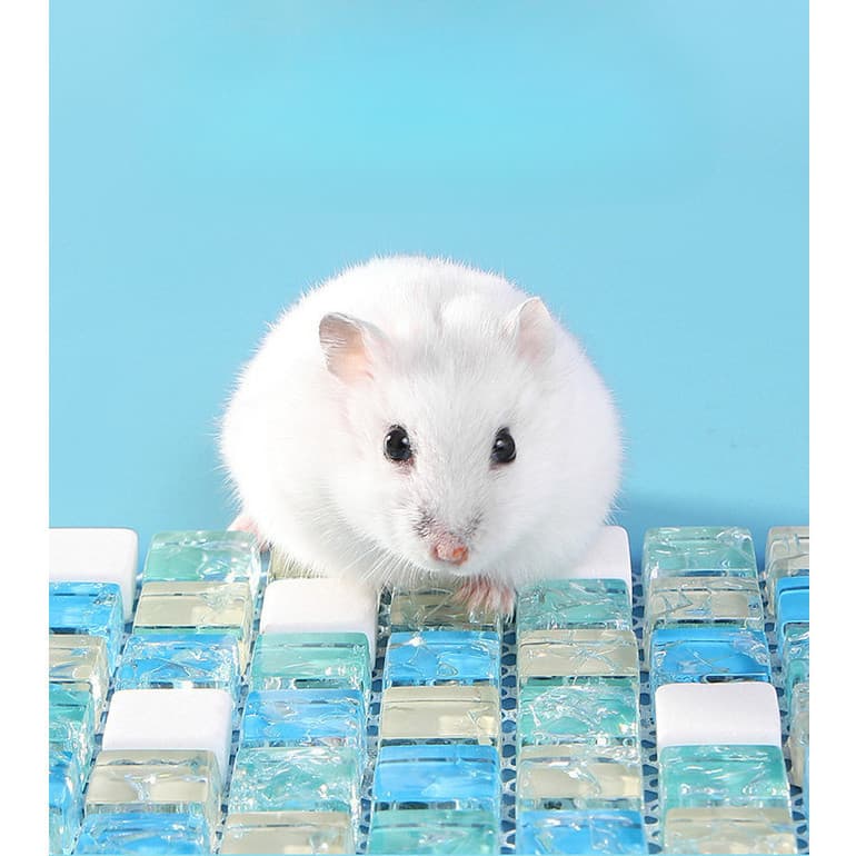 Tapete Gelado para Hamster e Porquinho da Índia, Laje Refrescante, Acessório para Gaiola 🐹❄️