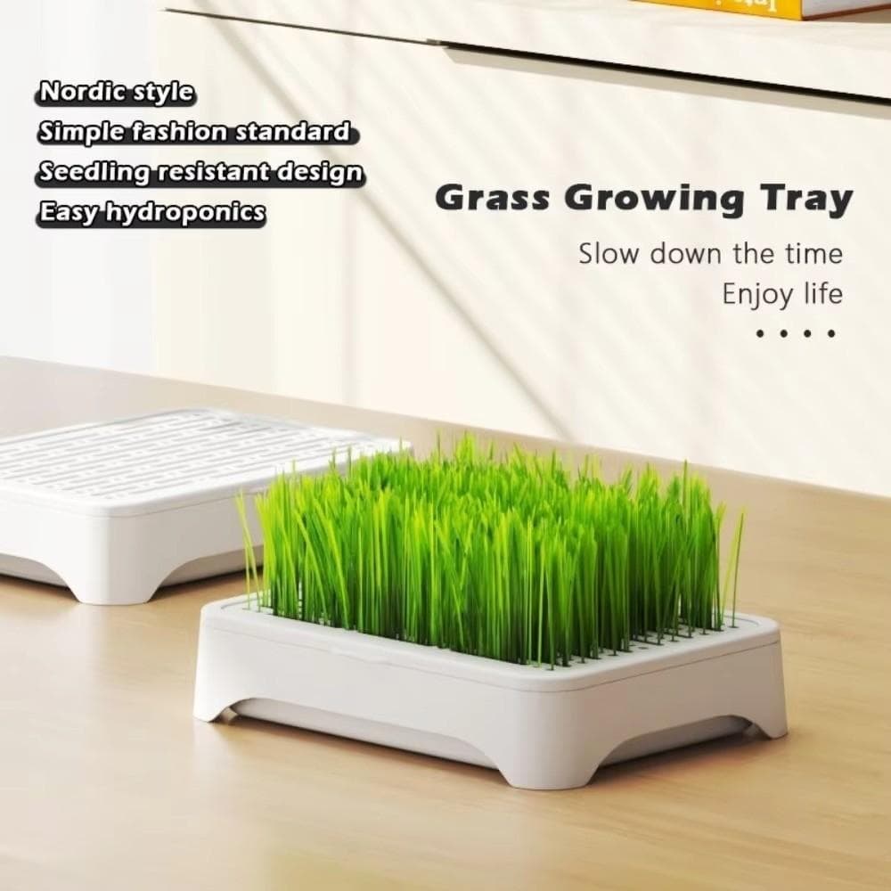 Plantador De Grama Para Gatos  , Bandeja Hidropônica De Plástico Sistema De Crescimento , Anti-Remover