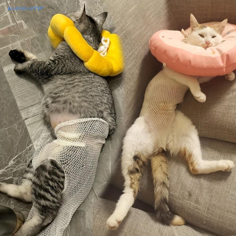 Bandagem De Malha Para Animais De Estimação BLUEVELVETSP , Capa Elástica Respirável De Proteção , Evita Arranhões