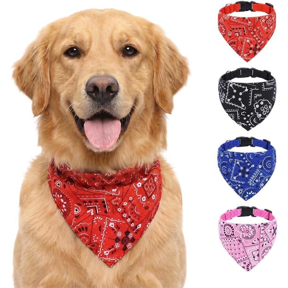 BanaCollar, 1 peça de Coleira Personalizada para Cachorro (Menino/Menina) com Botões Ajustáveis, Coleiras BanaCollar com