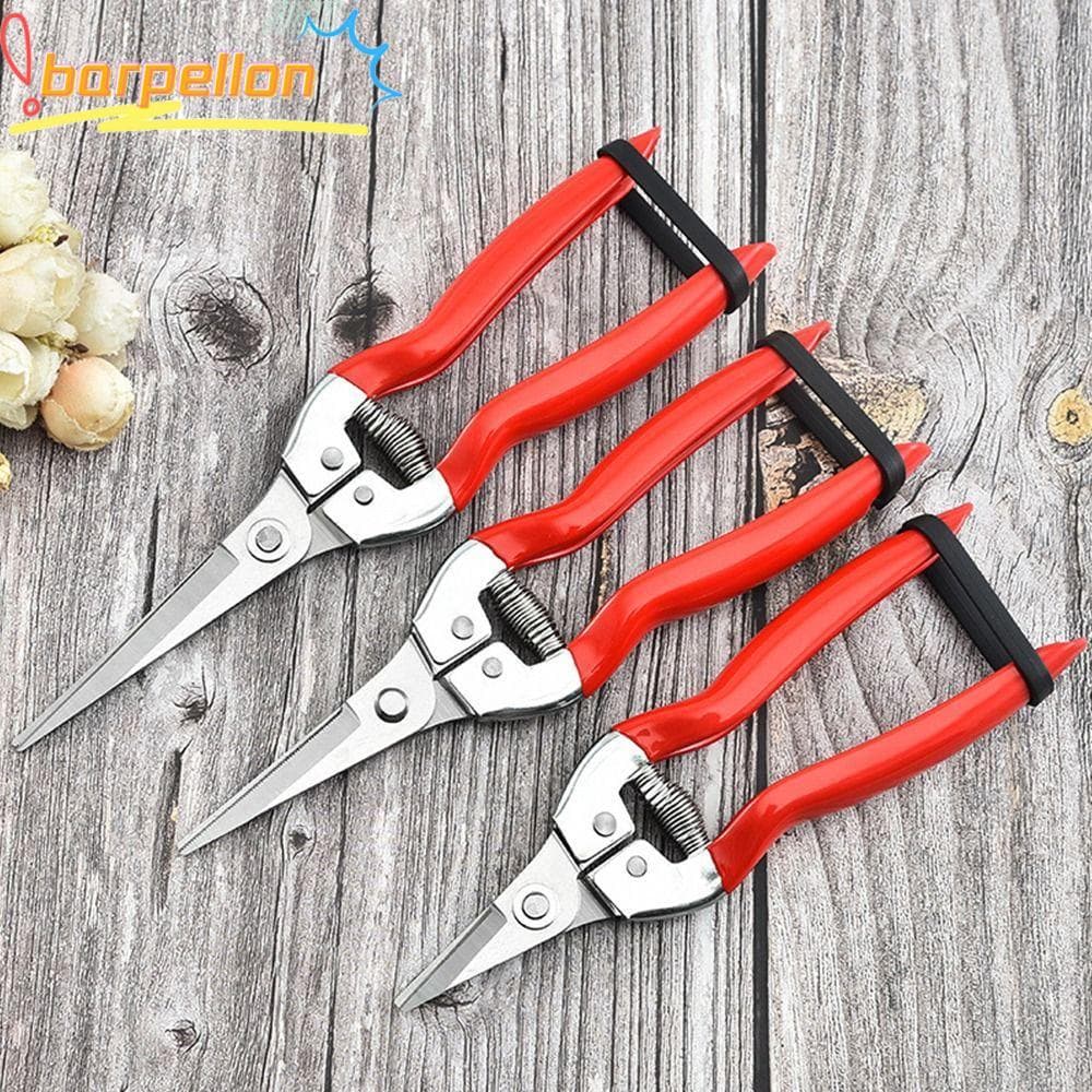 BARPELLON 1 Peça Tesoura De Jardim , Podador Manual , Ferramenta De Para Poda De Árvores , Jardinagem