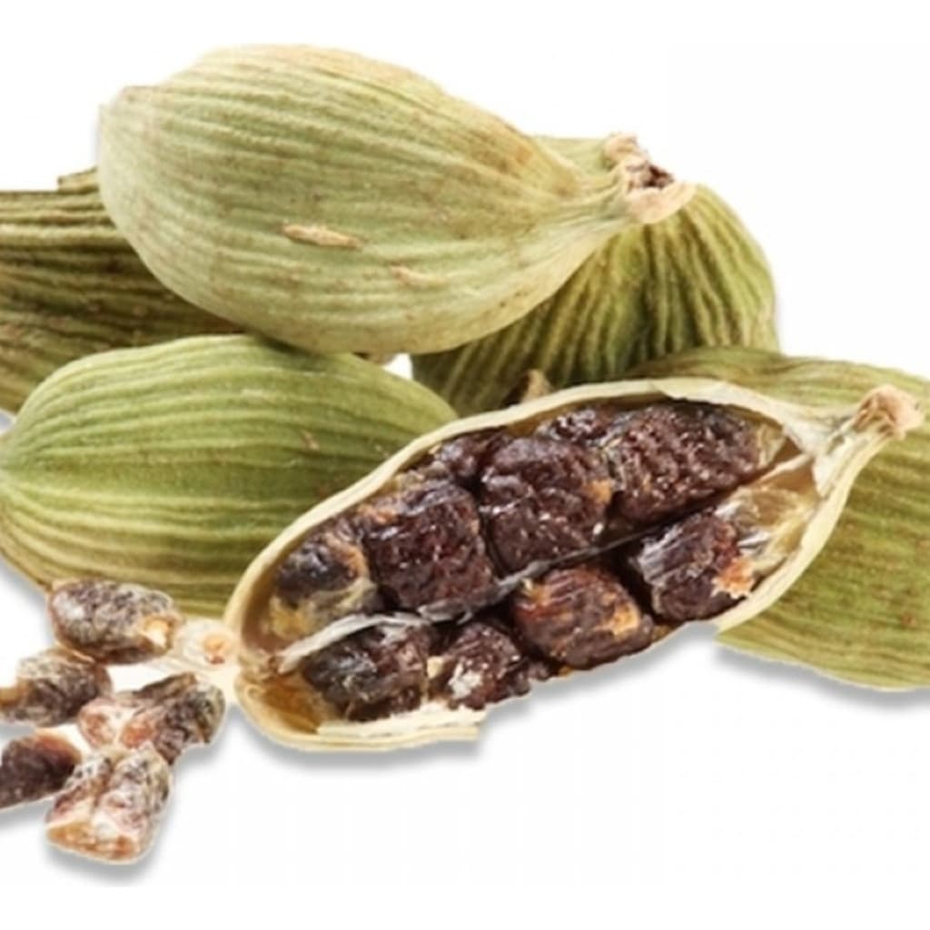 Sementes frescas Sementes de Cardamomo Graúdo 1000 Unidades para Plantio | Erva Aromática Temperos Jardim Horta