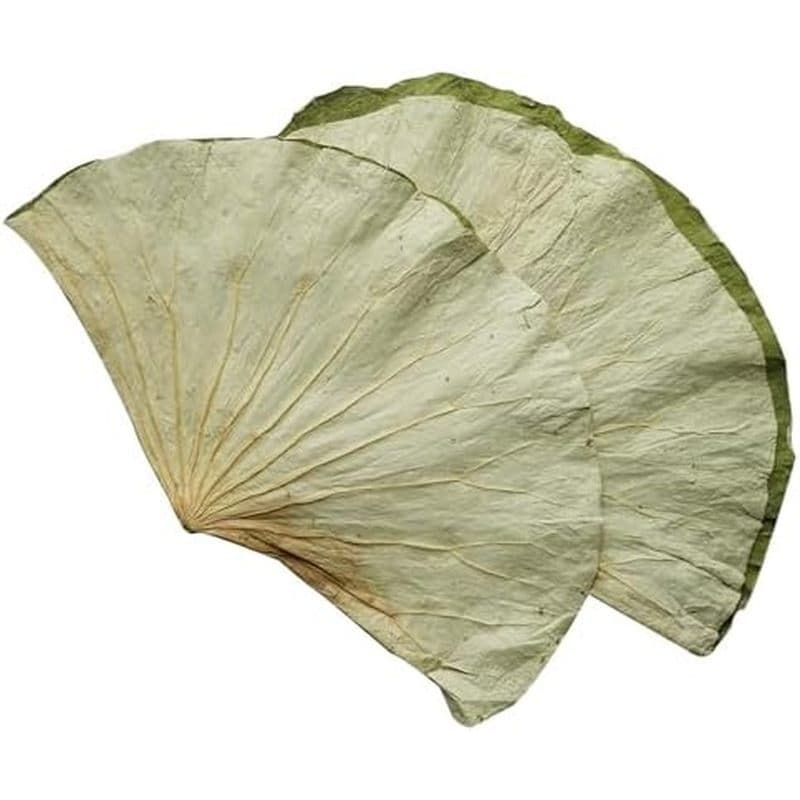 Rainlily Wen Folhas De Lótus Secas Decoração De Prato De Sushi Folha Inteira 30 Pcs Embrulho De Alimentos Festa Raio De